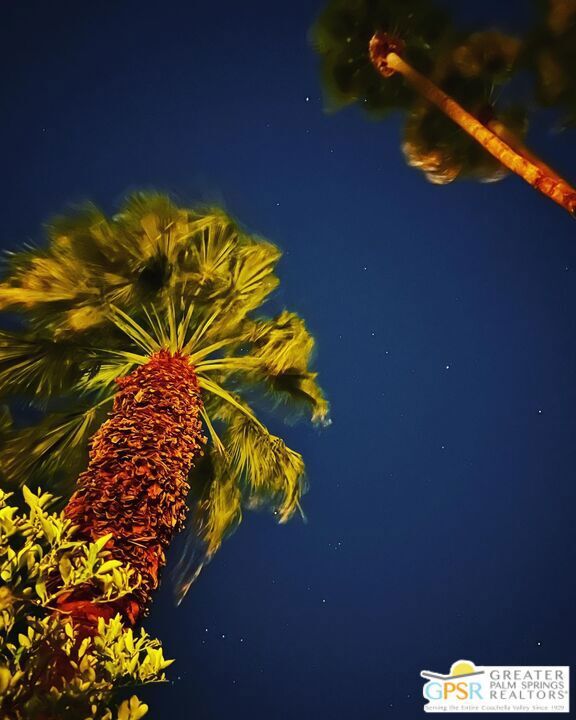 Property Photo: 572 N Calle Marcus CA 92262