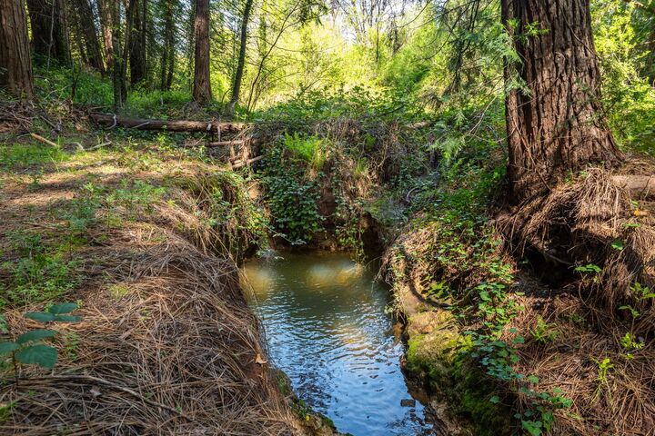 Property Photo: 202 Gold Flat Road CA 95959