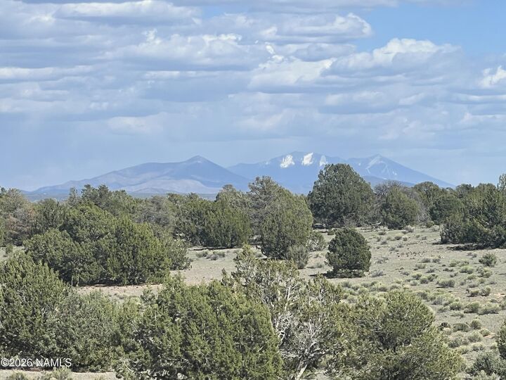 Property Photo:  10747 Espee Road  AZ 86046 