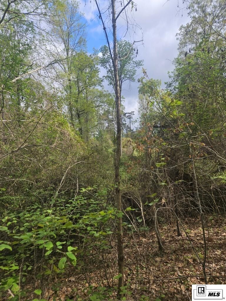 Property Photo: 0 Richard Linder Road LA 71225