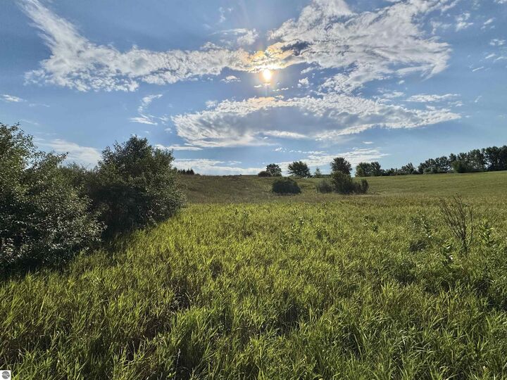 Property Photo:  2231 Tyler Hills Drive  MI 49685 