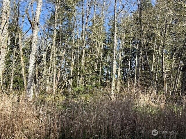 Property Photo:  0 Lot 15  Ander Park Road  WA 98249 