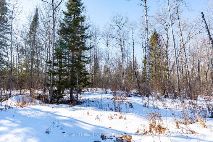 Property Photo:  37 Macpherson Drive  ON P0H 1K0 