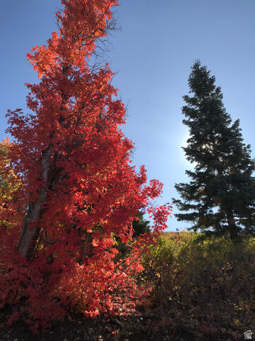 Property Photo:  23465 N Thads Peak E J27  UT 84629 