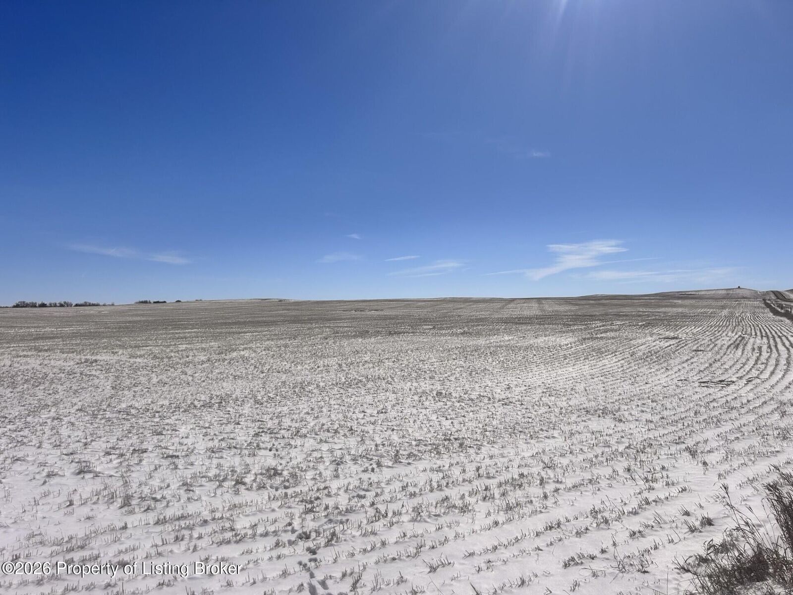Property Photo: