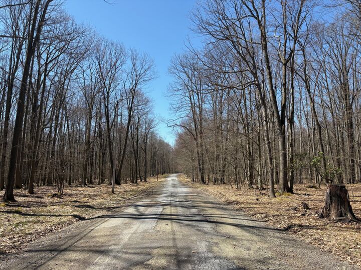 Property Photo:  18 Pimlico Rd  PA 15801 