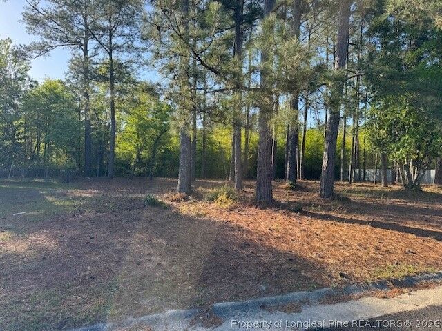 Property Photo: 213 Waddell Drive NC 28301