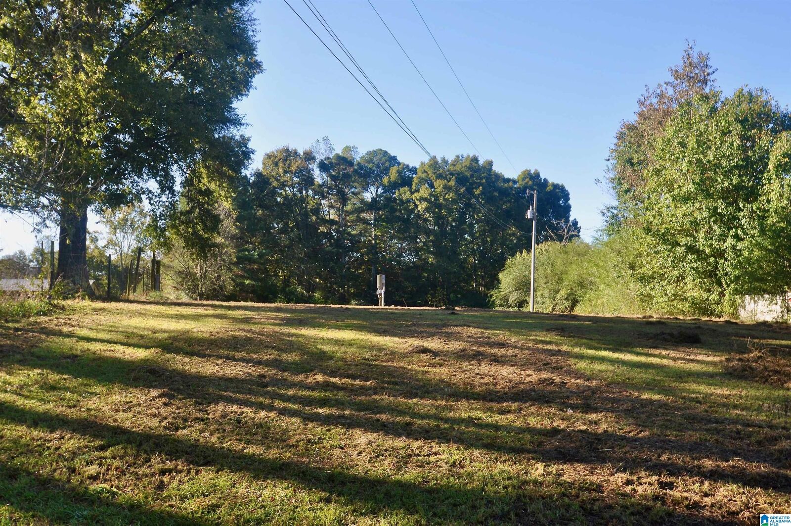 Property Photo:  481 County Road 1122 0  AL 35179 