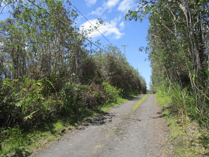 Property Photo:  Road 11 (Pulelehua)  HI 96760 