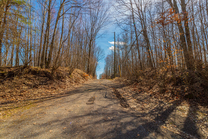 Property Photo:  V/L 17 Mile Road  MI 49342 