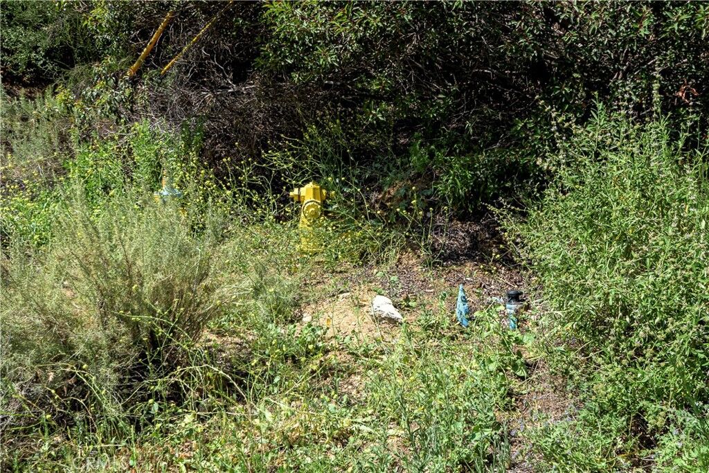 Property Photo:  7451 Verdugo Crestline  CA 91042 