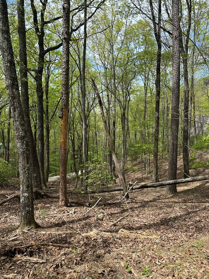 Property Photo:  Lt B87 Laurel Lane  GA 30560 