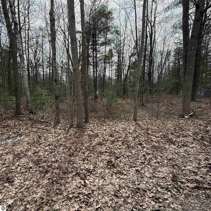 Property Photo:  Gaston Way  MI 48750 