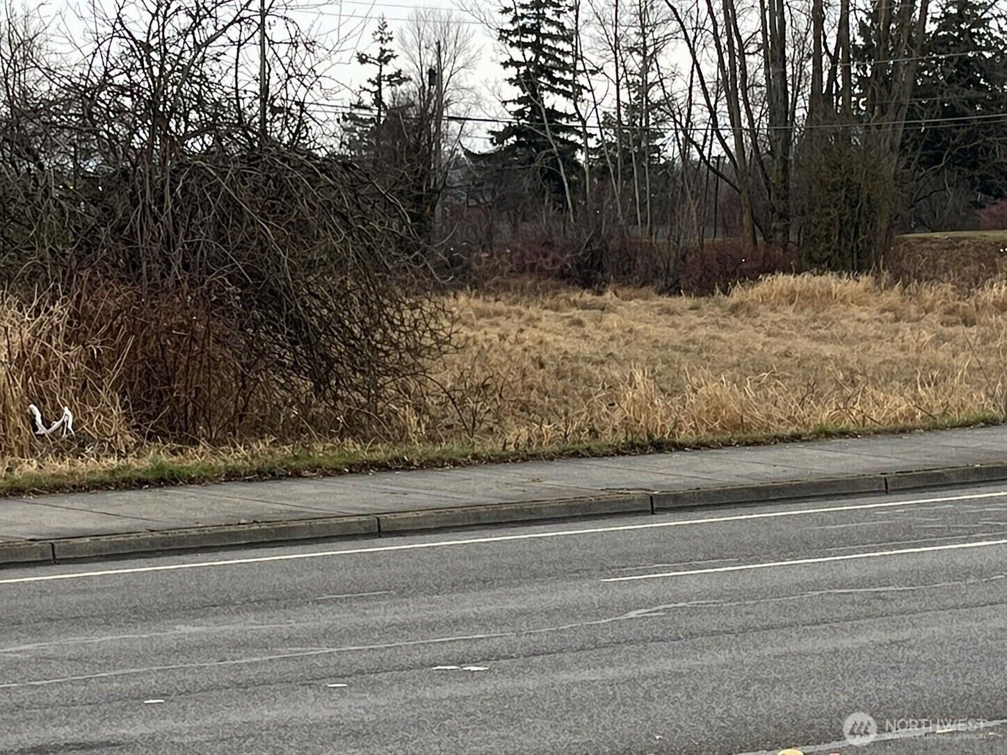Property Photo:  1697  Main Street  WA 98248 