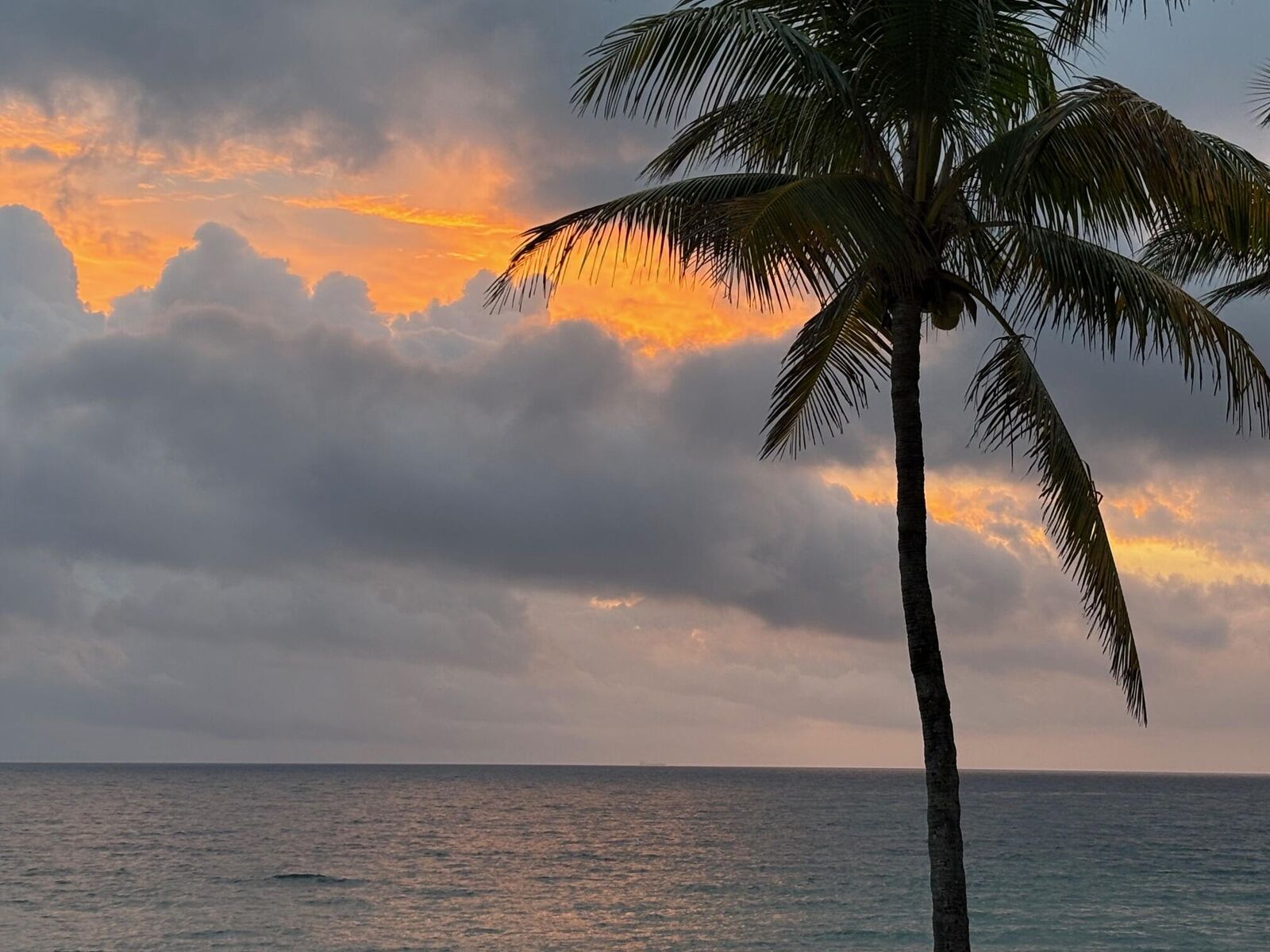 Property Photo:  6000 N Ocean Boulevard 2D  FL 33308 