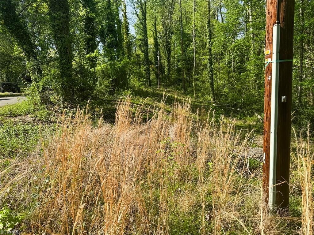 Property Photo:  2121 Westminister Lane  NC 27106 