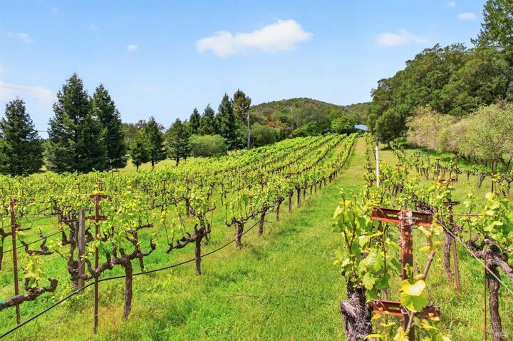 Property Photo:  7440 Wild Horse Valley Road  CA 94558 