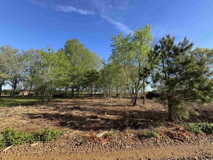 Property Photo:  Lot 56 Cr 236  AR 72324 