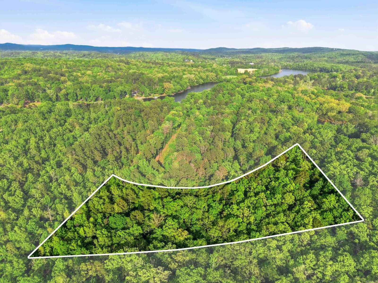 Property Photo:  Lot 16 Tall Hickory Road  AR 71913 