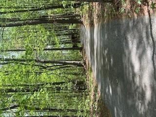 Property Photo:  1301 Bob Hunton Road  GA 30134 