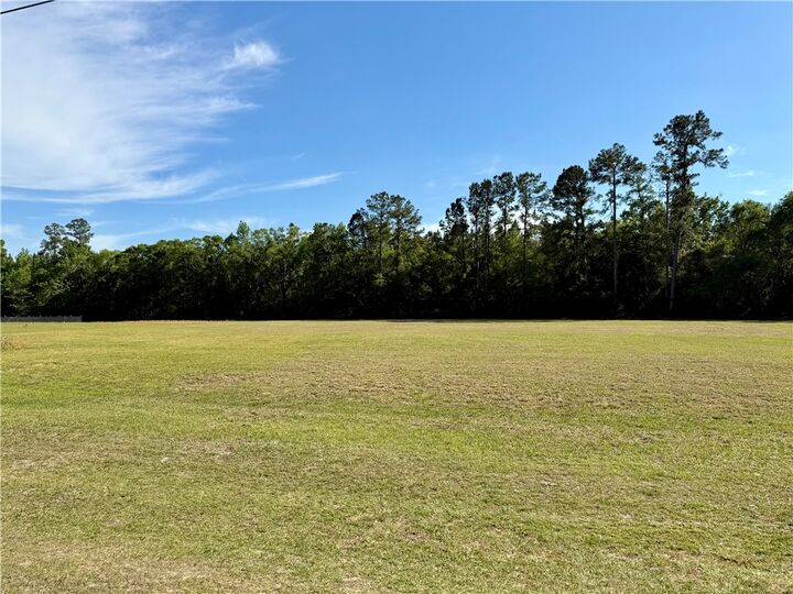 Property Photo:  0 Tiger Island Lane  GA 31569 