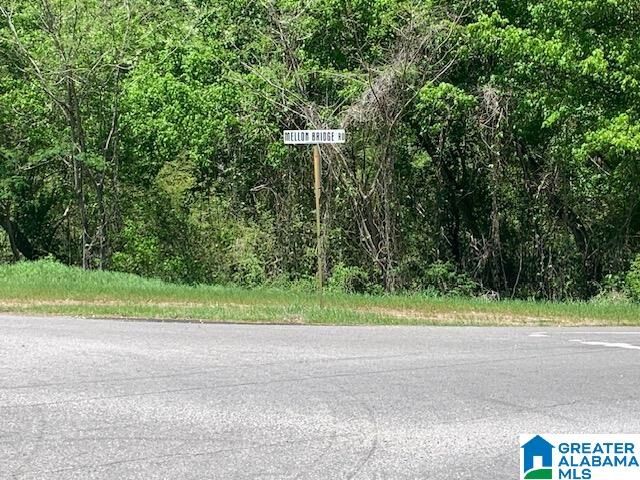 Property Photo: 0 Mellon Bridge Road 0 AL 36203