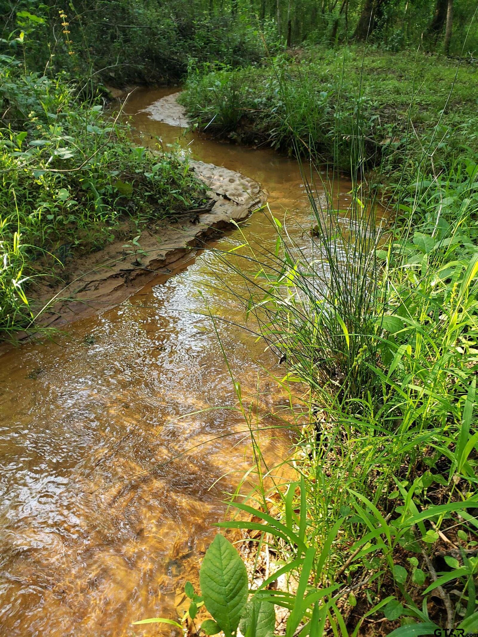 Property Photo:  20039 Cr 450  TX 75771 