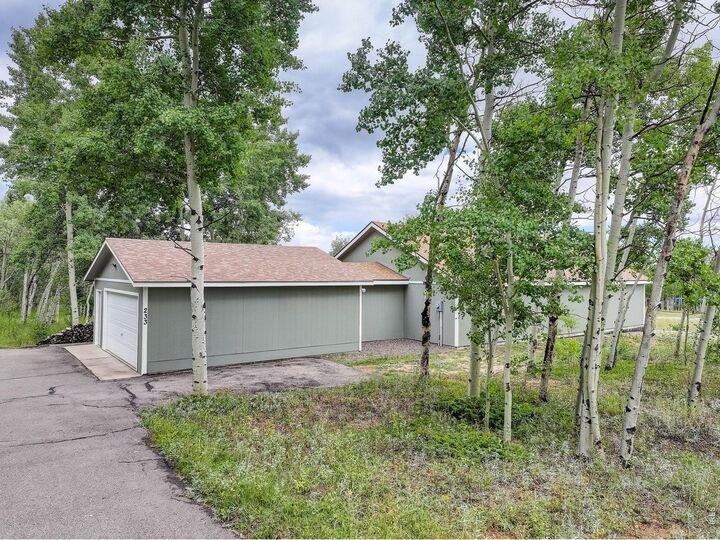 Property Photo:  233 Deer Cir  CO 80422 