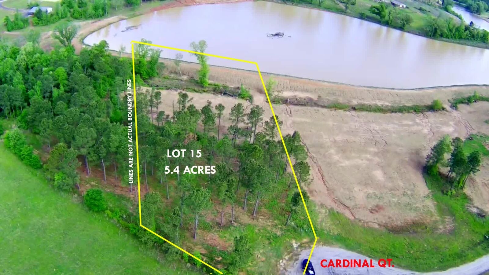 Property Photo: Tbd Cardinal Court TX 75640