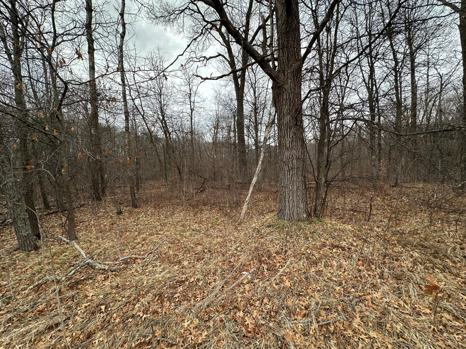 Property Photo:  Lot 25 County Rd 11  MN 56472 