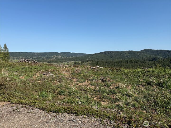 Property Photo:  6 Xx  Oppelt Road  WA 98532 