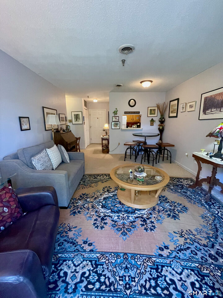 Property Photo:  625 Palisado Avenue 313  CT 06095 