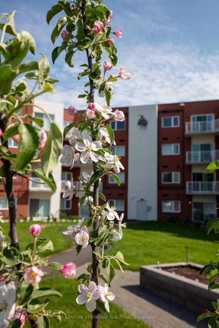 Property Photo:  45 Elmsley Street 212  ON K7A 5J4 