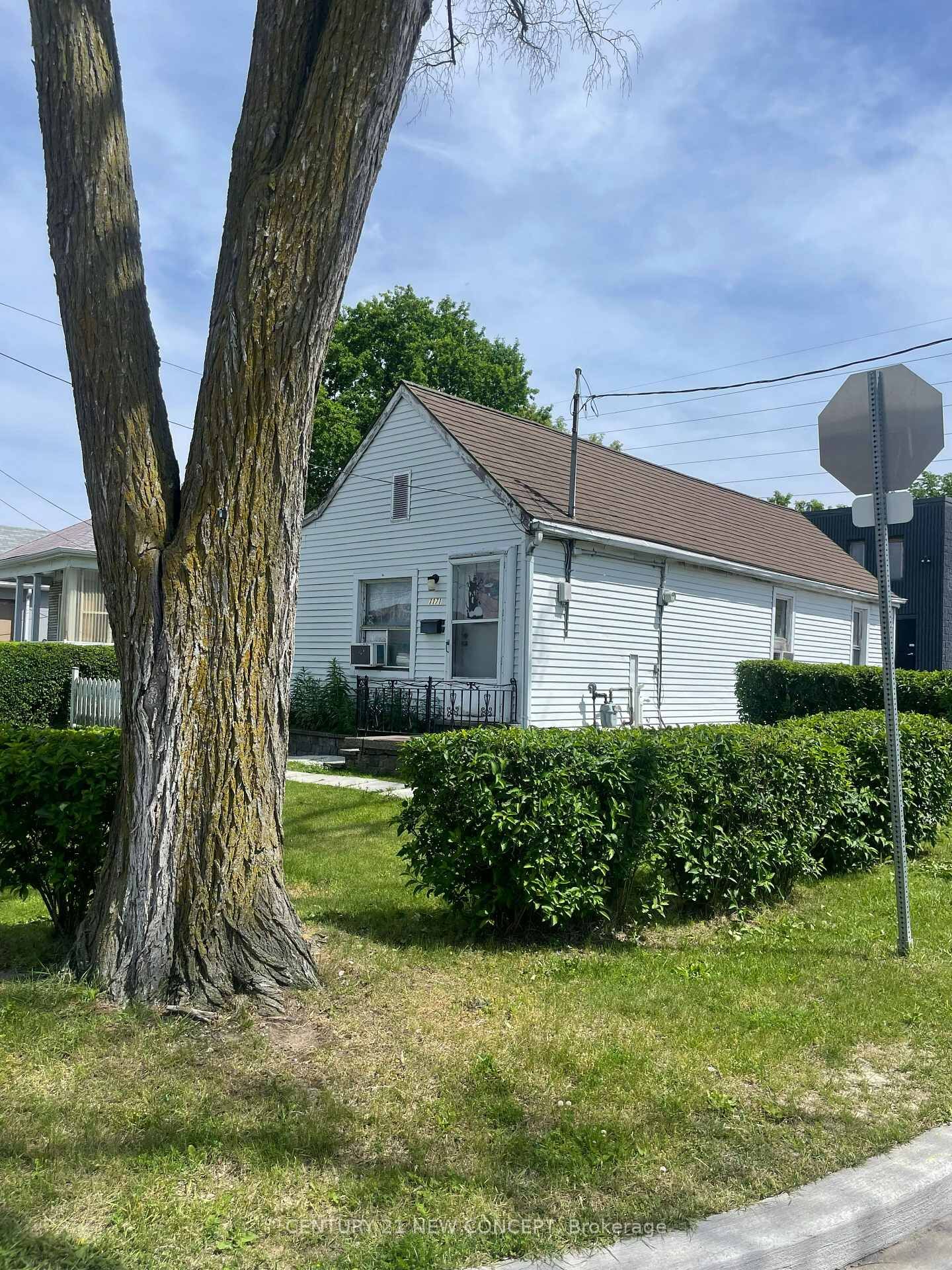 Property Photo:  1171 Roselawn Avenue  ON M6B 1C5 