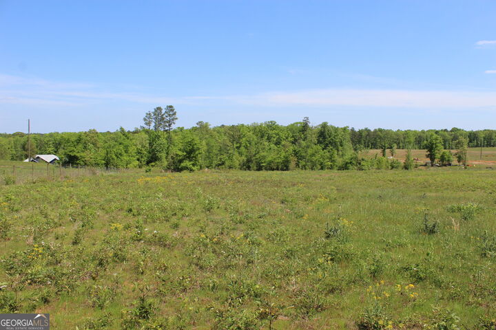 Property Photo:  157 Jordan Bottom Road  GA 31016 