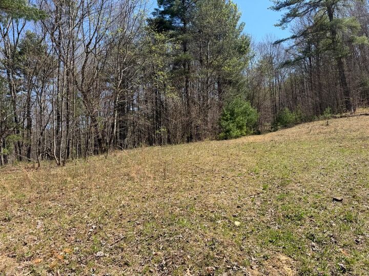 Property Photo:  Morris Branch Road  WV 25976 