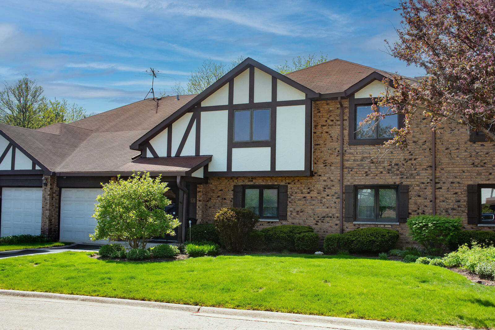 Property Photo:  538 Banyon Lane D  IL 60525 