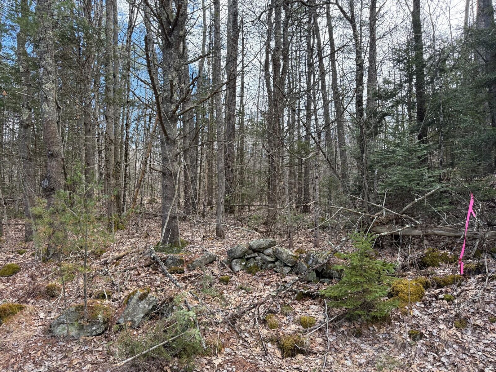 Property Photo:  864 Winslows Mills Road  ME 04572 