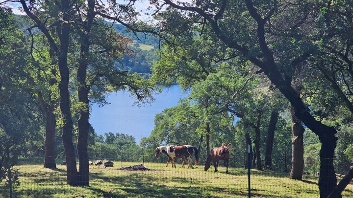Property Photo:  4101 Birdseye View Lane  CA 95667 