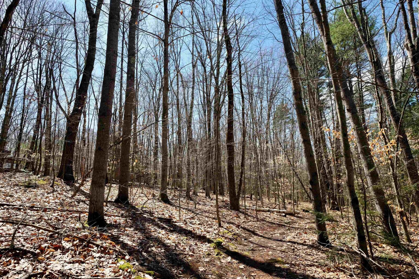 Property Photo:  111 Page Road  NH 03304 