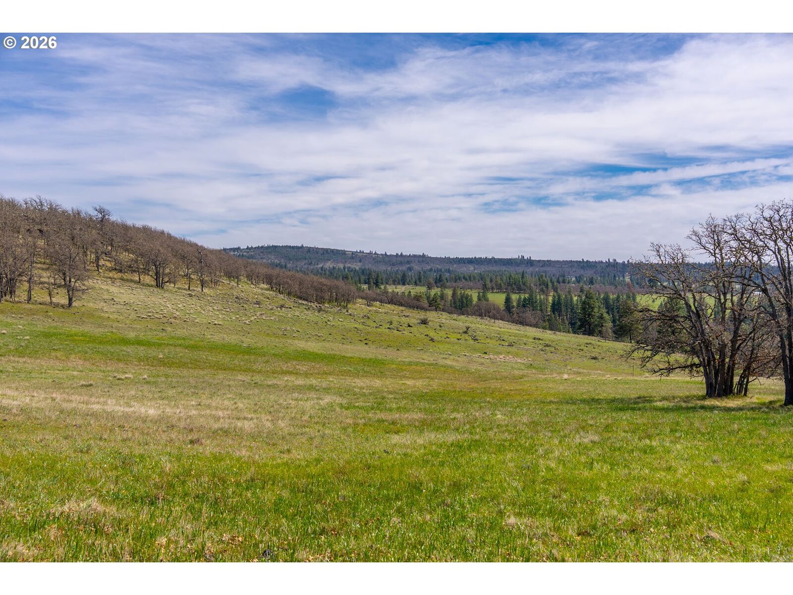 Property Photo: Piney Woods WA 98620