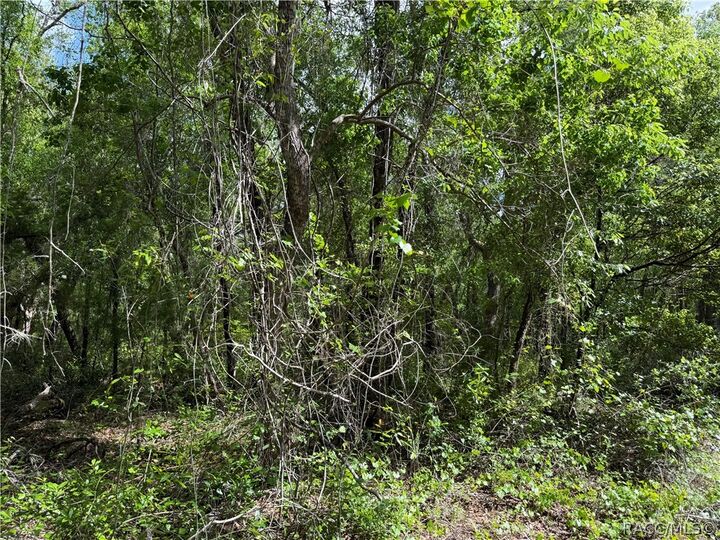 Property Photo:  112 S Crestview Avenue  FL 34452 