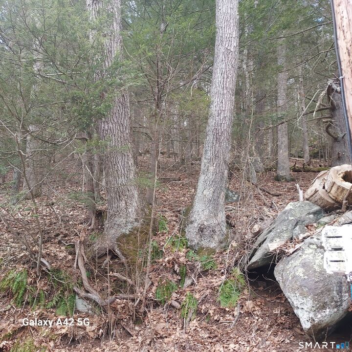 Property Photo:  Merrow Road  CT 06238 