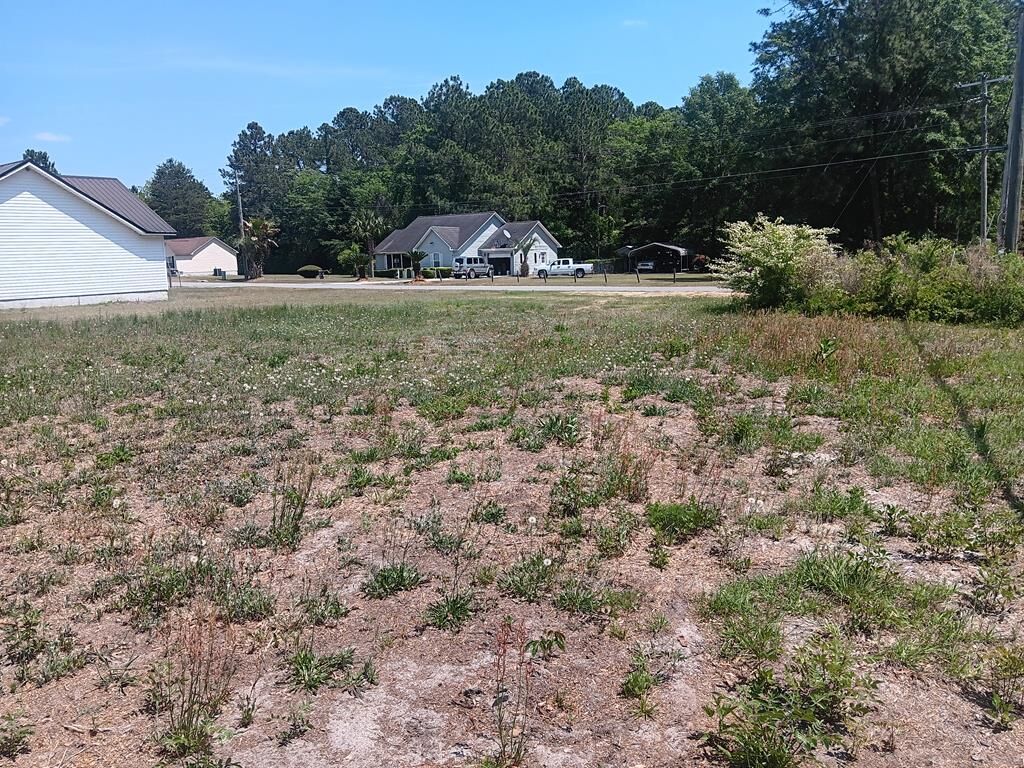 Property Photo:  0 Amber Street  GA 31750 