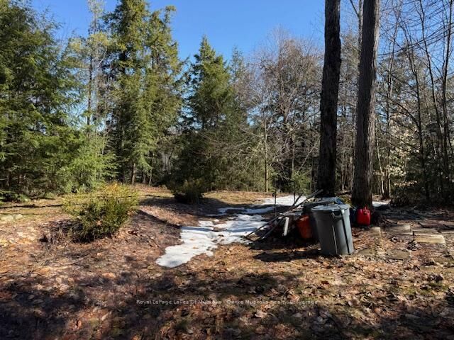 Property Photo:  0 South Crane Lake Road  ON P2A 0B7 