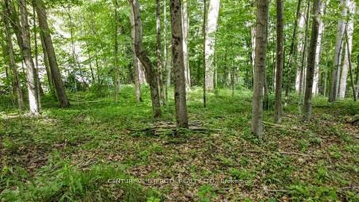 Property Photo:  7 Fern Lane  ON L0M 1T0 