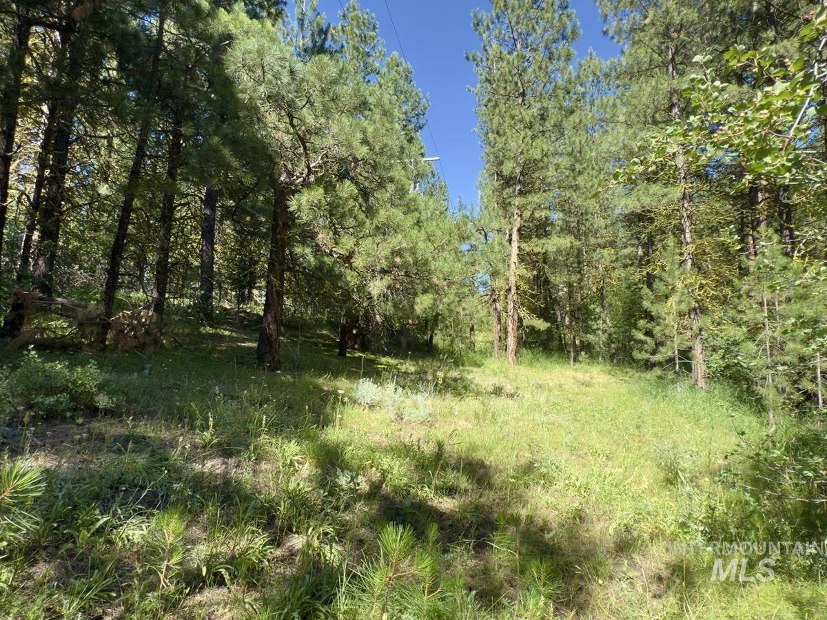 Property Photo: 18 &Amp 20 Shady Pine Way ID 83611
