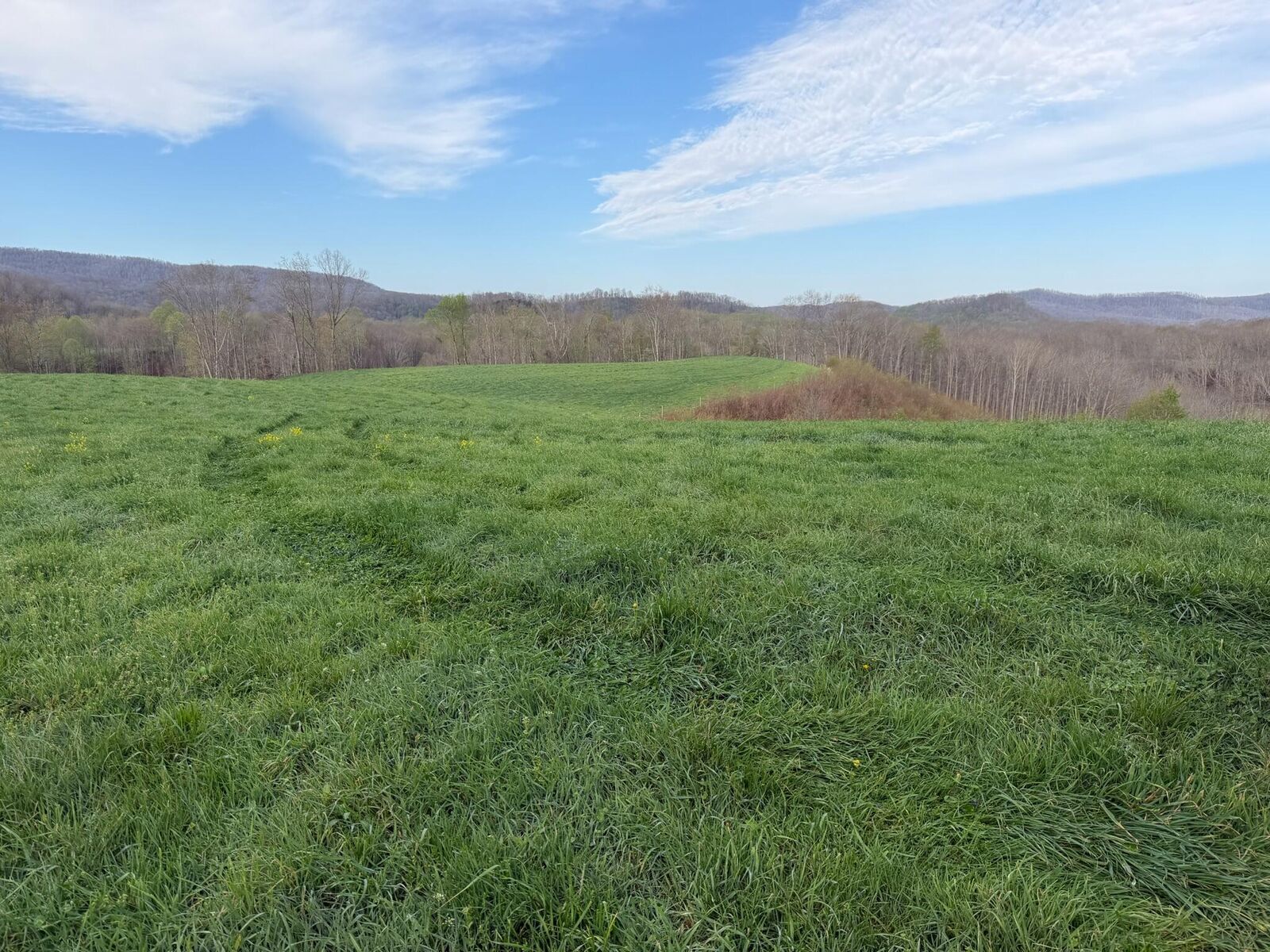 Property Photo:  1999 Snake Run Rd  WV 24910 