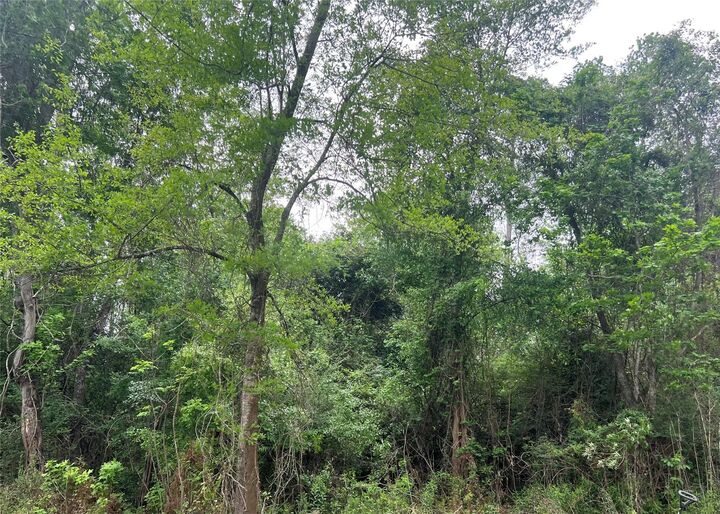 Property Photo:  000 Cemetery Road  TX 77575 