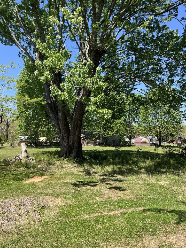 Property Photo:  107 6th St  TN 37356 